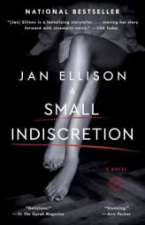 A Small Indiscretion by Jan Ellison Paperback Book