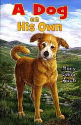 A Dog on His Own by Mary Jane Auch Paperback Book