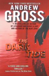 The Dark Tide by Andrew Gross Paperback Book