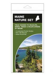 Maine Nature Set: Field Guides to Wildlife, Birds, Trees & Wildflowers of Maine by James Kavanagh Paperback Book