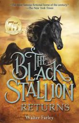 The Black Stallion Returns by Walter Farley Paperback Book
