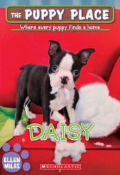 Daisy (the Puppy Place #38) by Ellen Miles Paperback Book