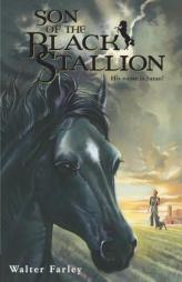 Son of the Black Stallion by Walter Farley Paperback Book