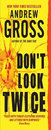 Don't Look Twice by Andrew Gross Paperback Book