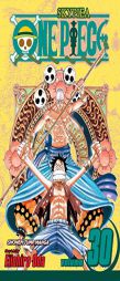 One Piece, Vol. 30 (One Piece) by Eiichiro Oda Paperback Book