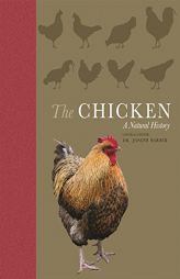 The Chicken: A Natural History by Joseph Barber Paperback Book