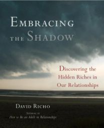 Embracing the Shadow: Discovering the Hidden Riches in Our Relationships by David Richo Paperback Book