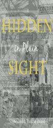 Hidden in Plain Sight by Huldah Dauid Paperback Book