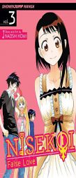 Nisekoi: False Love, Vol. 3: What's in a Name? by Naoshi Komi Paperback Book