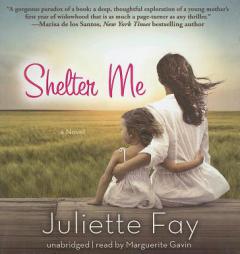 Shelter Me by Juliette Fay Paperback Book