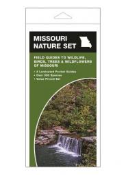 Missouri Nature Set: Field Guides to Wildlife, Birds, Trees & Wildflowers of Missouri by James Kavanagh Paperback Book