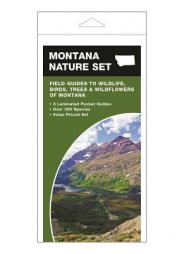 Montana Nature Set: Field Guides to Wildlife, Birds, Trees & Wildflowers of Montana by James Kavanagh Paperback Book