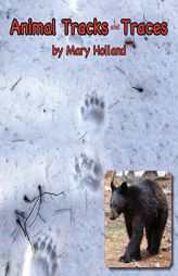 Animal Tracks and Traces by Mary Holland Paperback Book