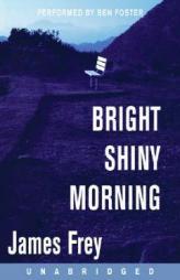 Bright Shiny Morning by James Frey Paperback Book
