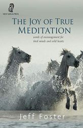 The Joy of True Meditation: Words of Encouragement for Tired Minds and Wild Hearts by Jeff Foster Paperback Book