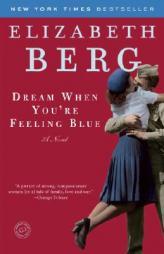 Dream When You're Feeling Blue by Elizabeth Berg Paperback Book