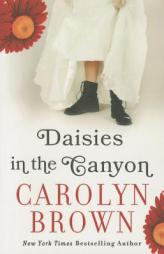 Daisies in the Canyon by Carolyn Brown Paperback Book