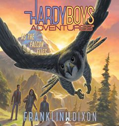 As the Falcon Flies (Volume 24) (Hardy Boys Adventures) by Franklin W. Dixon Paperback Book