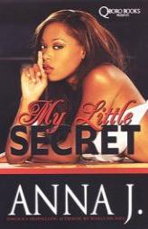 My Little Secret by Anna J Paperback Book