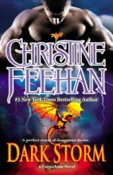 Dark Storm (Carpathian) by Christine Feehan Paperback Book