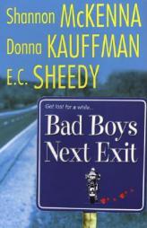 Bad Boys Next Exit by Shannon McKenna Paperback Book