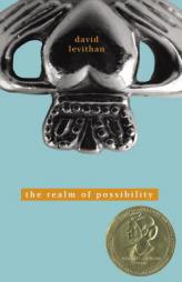Realm of Possibility by David Levithan Paperback Book