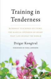 Training in Tenderness: Buddhist Teachings on Tsewa, the Openness of Heart That Can Change the World by Dzigar Kongtrul Paperback Book