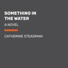 Something in the Water: A Novel by Catherine Steadman Paperback Book