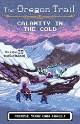 Calamity in the Cold by Jesse Wiley Paperback Book