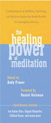 The Healing Power of Meditation: Leading Experts on Buddhism, Psychology, and Medicine Explore the Health Benefits of Mindfulness Practice by Andrew Fraser Paperback Book