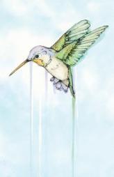 Hummingbird by Jude Angelini Paperback Book