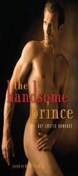 The Handsome Prince: Gay Erotic Romance by Neil Plakcy Paperback Book