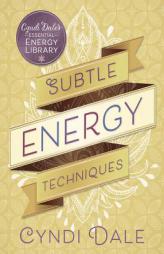 Subtle Energy Techniques (Cyndi Dale's Essential Energy Library) by Cyndi Dale Paperback Book
