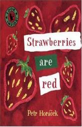 Strawberries Are Red by Petr Horacek Paperback Book