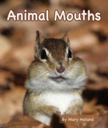 Animal Mouths by Mary Holland Paperback Book