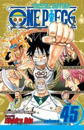 One Piece, Vol. 45 (One Piece) by Oda Eiichiro Paperback Book