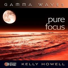 Pure Focus by Kelly Howell Paperback Book
