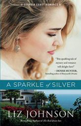A Sparkle of Silver by Liz Johnson Paperback Book