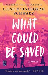 What Could Be Saved: A Novel by Liese O'Halloran Schwarz Paperback Book