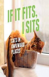 If It Fits, I Sits: Cats in Awkward Places by Various Paperback Book