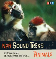 NPR Sound Treks: Animals: Unforgettable Encounters in the Wild (Npr Outdoors) by Jon Hamilton Paperback Book