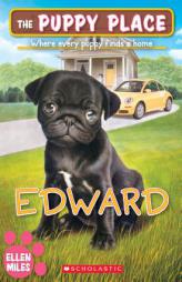 Edward (the Puppy Place #49) by Ellen Miles Paperback Book