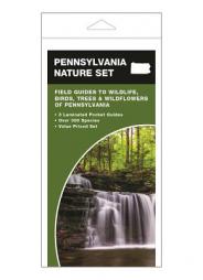 Pennsylvania Nature Set: Field Guides to Wildlife, Birds, Trees & Wildflowers of Pennsylvania by James Kavanagh Paperback Book