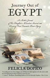 Journey Out of Egypt: A Mother's Journal of Her Daughter's Miraculous Survival and Recovery from Traumatic Brain Injury by Felicia Dopico Paperback Book