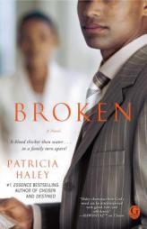 Broken by Patricia Haley Paperback Book