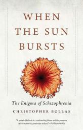 When the Sun Bursts: The Enigma of Schizophrenia by Christopher Bollas Paperback Book