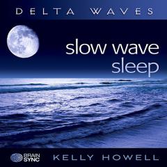 Slow Wave Sleep by Kelly Howell Paperback Book