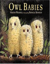 Owl Babies by Martin Waddell Paperback Book