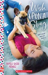 Wish Upon a Stray: A Wish Novel by Yamile Saied Mndez Paperback Book