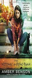 Homecoming by Amber Benson Paperback Book